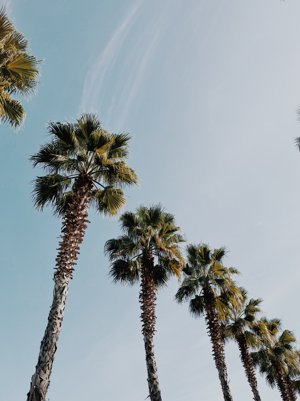 Summertime concept lifestyle minimalist photo