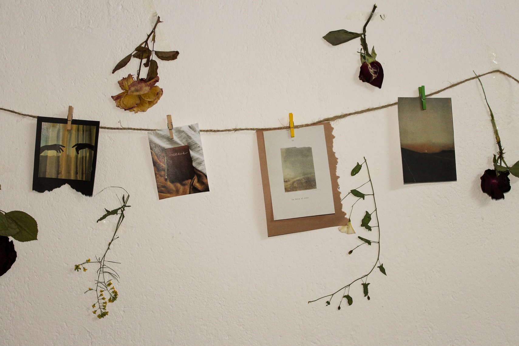 Hanging Photos on a Rope 