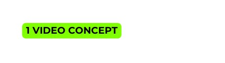 1 VIDEO CONCEPT